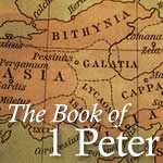 Your IDENTITY in Christ and in the Church (1 Pet 2:4-5)